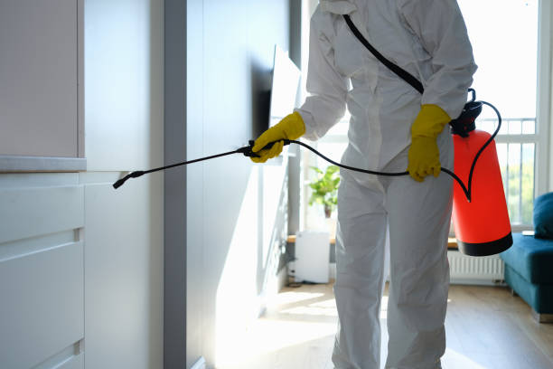 Best Mold Remediation Services  in Towson, MD