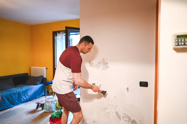 Best Black Mold Removal  in Towson, MD