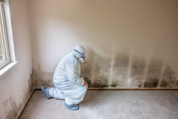 Best Crawl Space Mold Removal  in Towson, MD