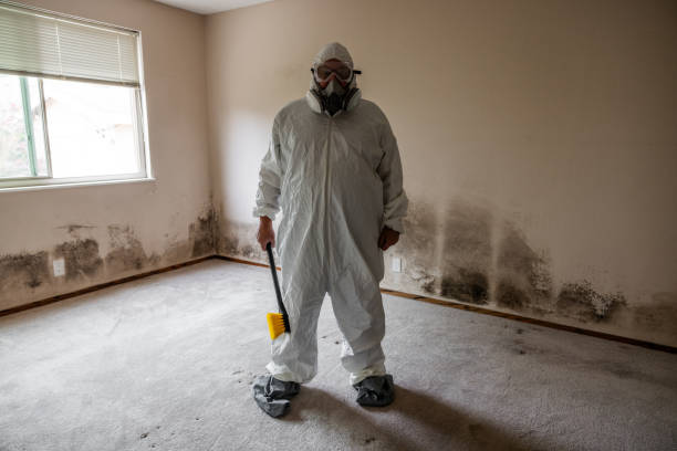Best Commercial Mold Removal  in Towson, MD
